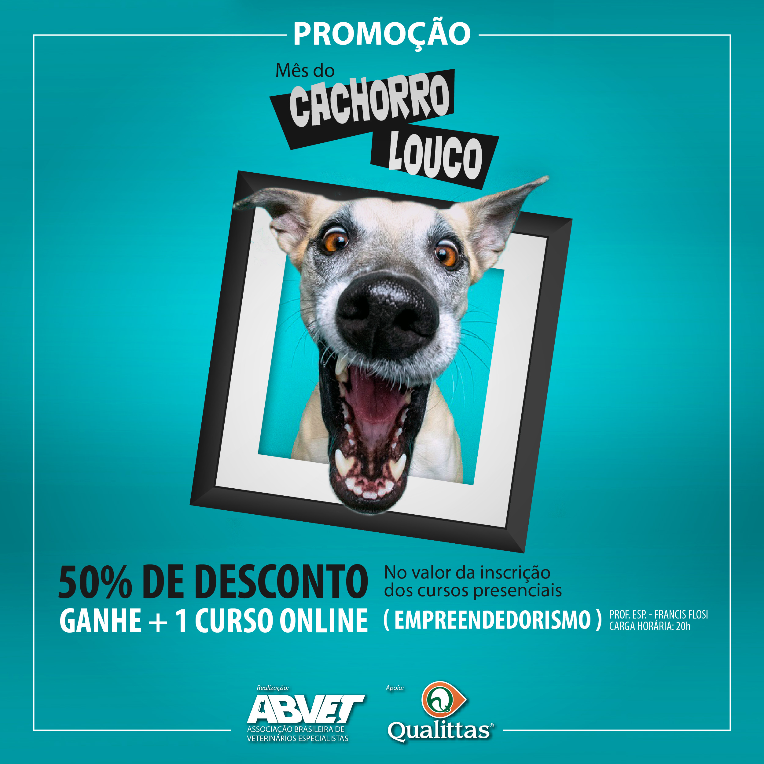 post_cachorro-louco-01