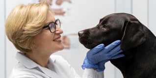 Capa Etologia Clínica na Medicina Veterinária