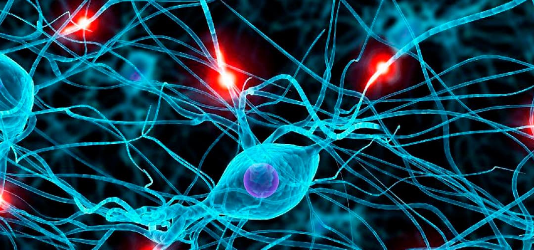 Capa Neurologia Clínica