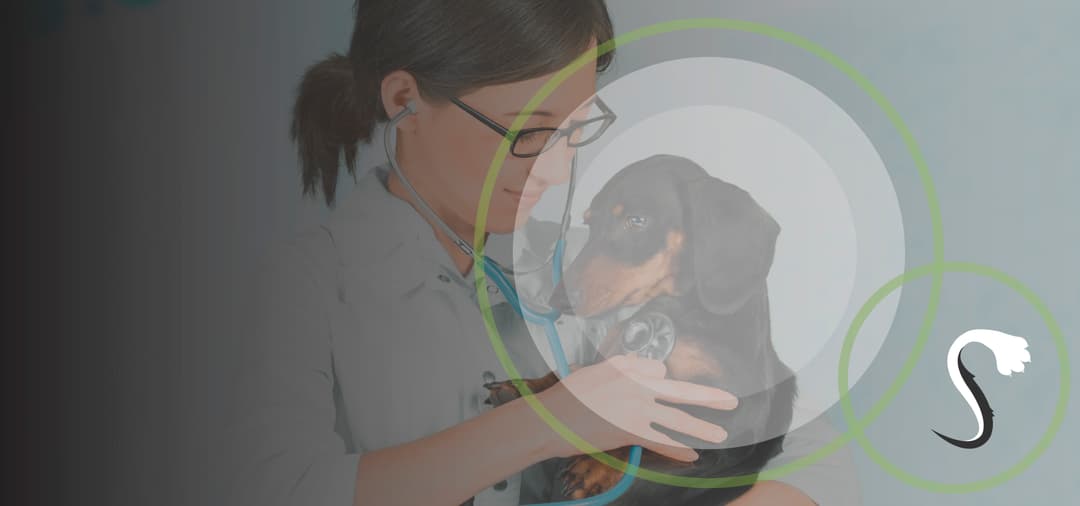 Capa Simpósio de Cardiologia